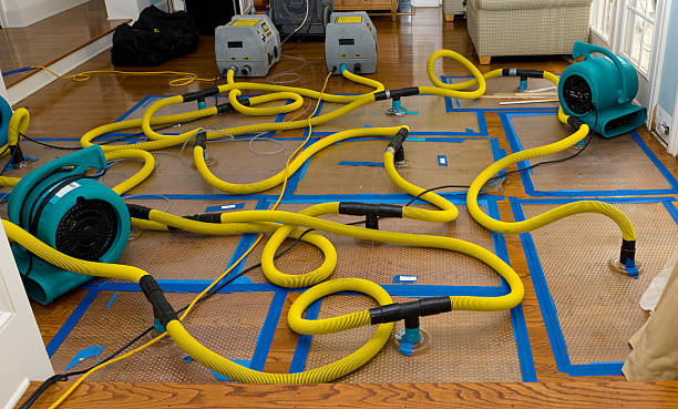 Professional Storm Water Damage Restoration technician working in Clark, SD